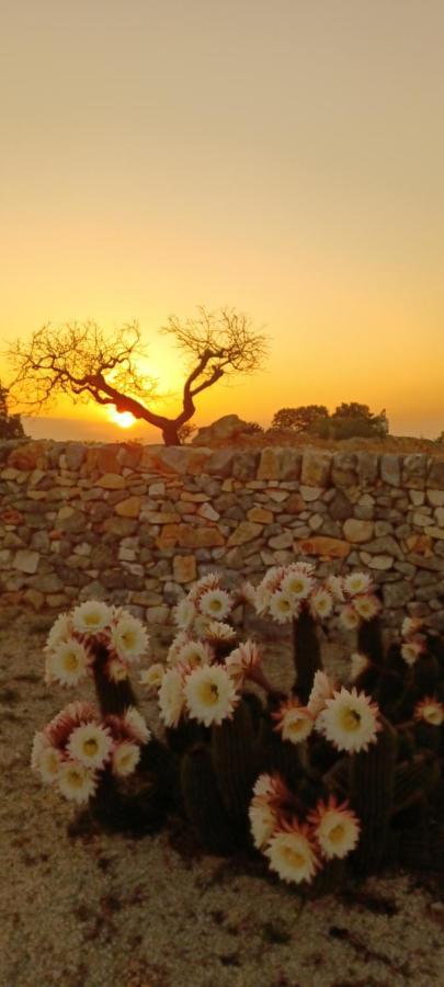 Casa Relax Isabelle Bed & Breakfast Alberobello Exterior photo