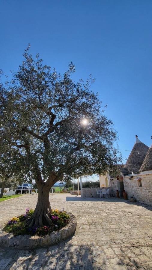 Casa Relax Isabelle Bed & Breakfast Alberobello Exterior photo